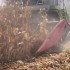 Жатка кукурузная 8 рядная КМС-8 (Corn Plant): украинское производство и европейское качество