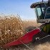 Жатка кукурузная 8 рядная КМС-8 (Corn Plant): украинское производство и европейское качество