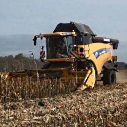 Кукурудзяна жниварка 6 рядків