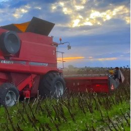 Ліфтери для соняшника до жатки 6,7 метрів