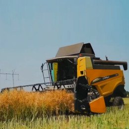 Ріпаковий стіл ПР-6.7