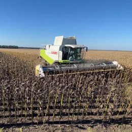 Жатка соняшникова Fiellday-6