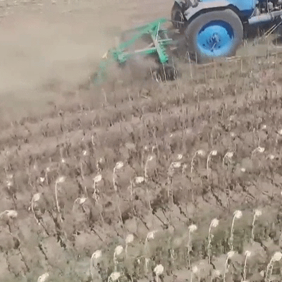 Дискова борона аг-2.4 на мтз-80/82