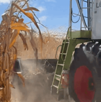 Жниварка для кукурудзи на 8 рядків. Жниварка кукурудзяна для Клаас Лексіон. Купити кукурудзяну жниварку на Джон Дір