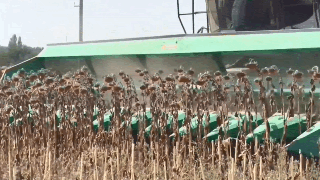 Жатки для комбайнів 