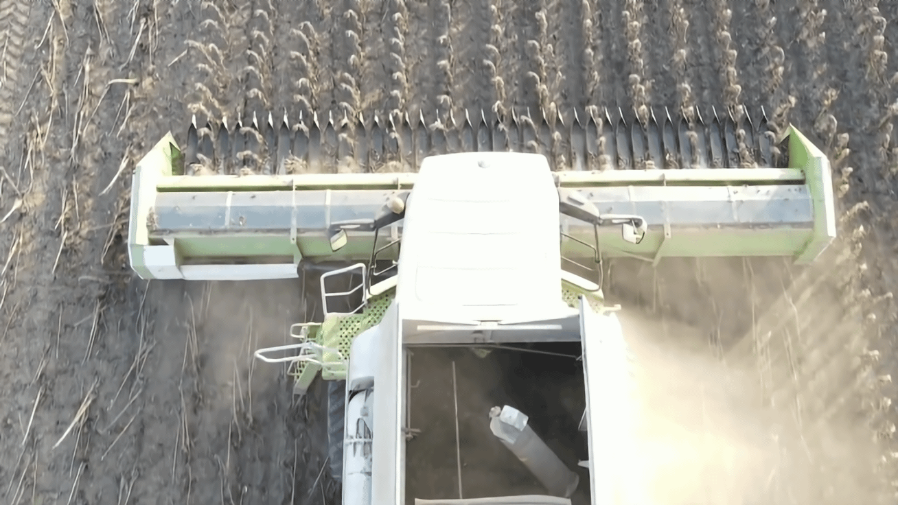 Жатка для збирання соняшника. Купити за ціною 2025