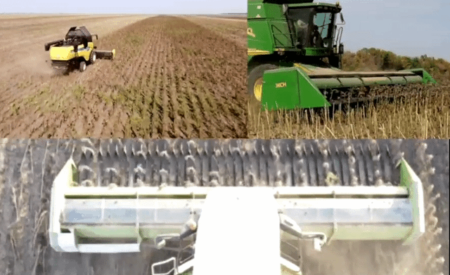 Жатка для збирання соняшнику: як обрати та зменшити втрати